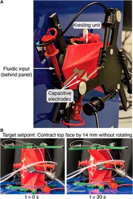 Controlling the fold: proprioceptive feedback in a soft origami robot